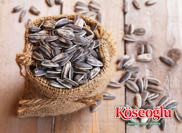 Çekirdek Nasıl Kavrulur? – Adım Adım Rehber